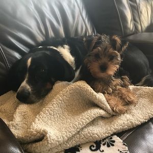 Meet your Posher, Jack